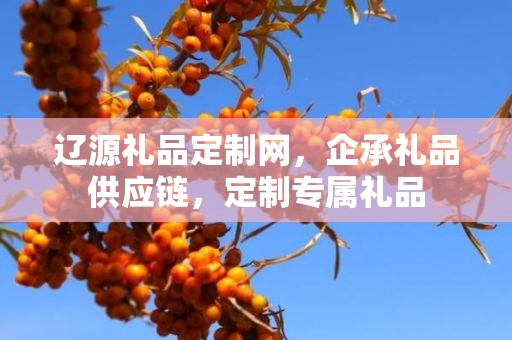 辽源礼品定制网，企承礼品供应链，定制专属礼品