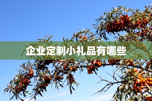 企业定制小礼品有哪些