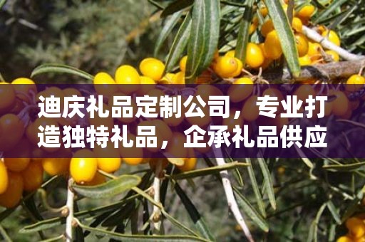 迪庆礼品定制公司，专业打造独特礼品，企承礼品供应链引领行业前沿