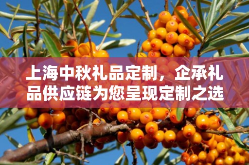 上海中秋礼品定制，企承礼品供应链为您呈现定制之选
